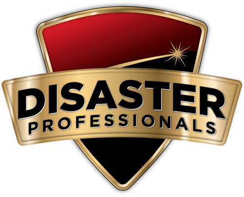 Disaster Professionals Logo