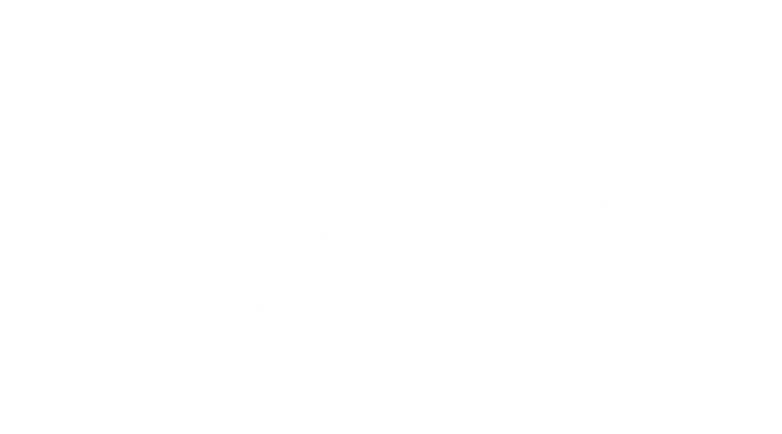 the larry h miller company